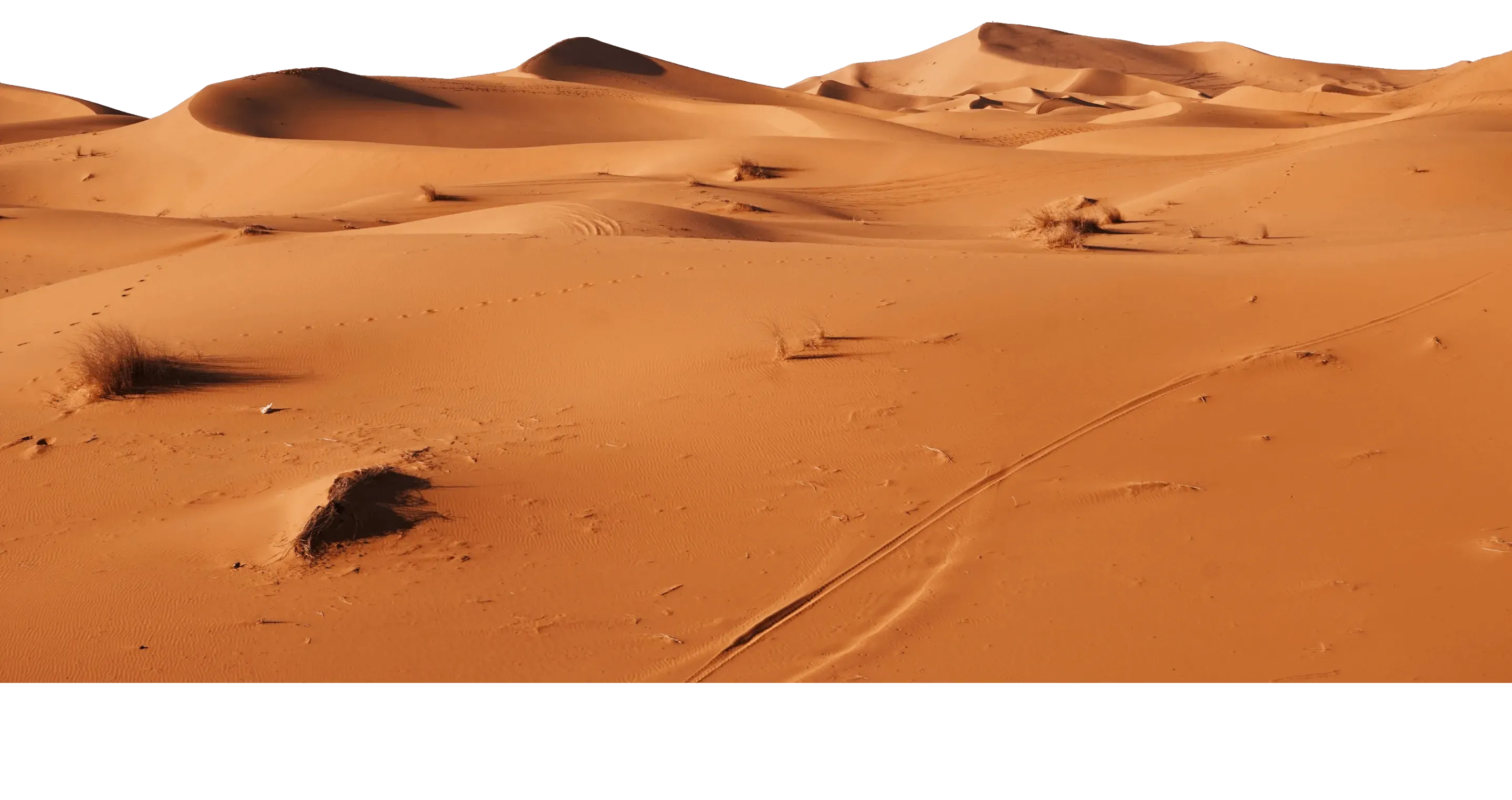 Impact Investing bedeutet, in die Zukunft zu investieren.