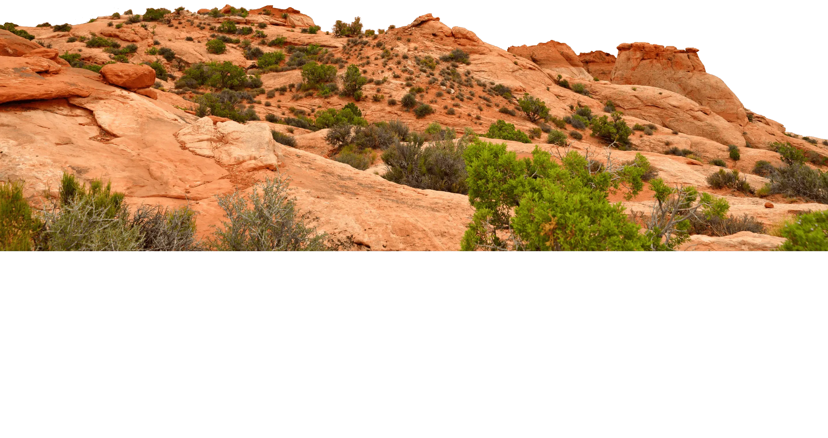 Impact Investing bedeutet, in die Zukunft zu investieren.