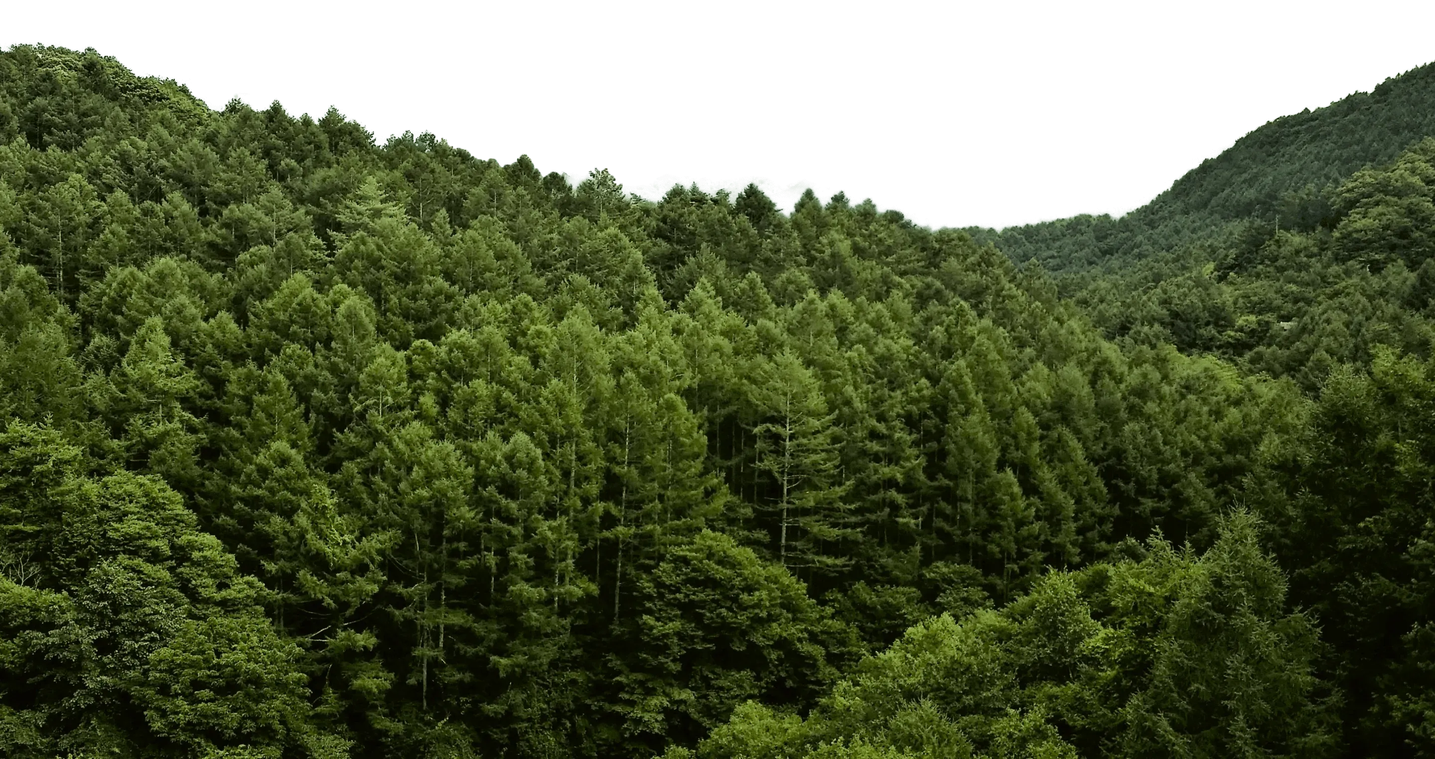 Impact Investing bedeutet, in die Zukunft zu investieren.