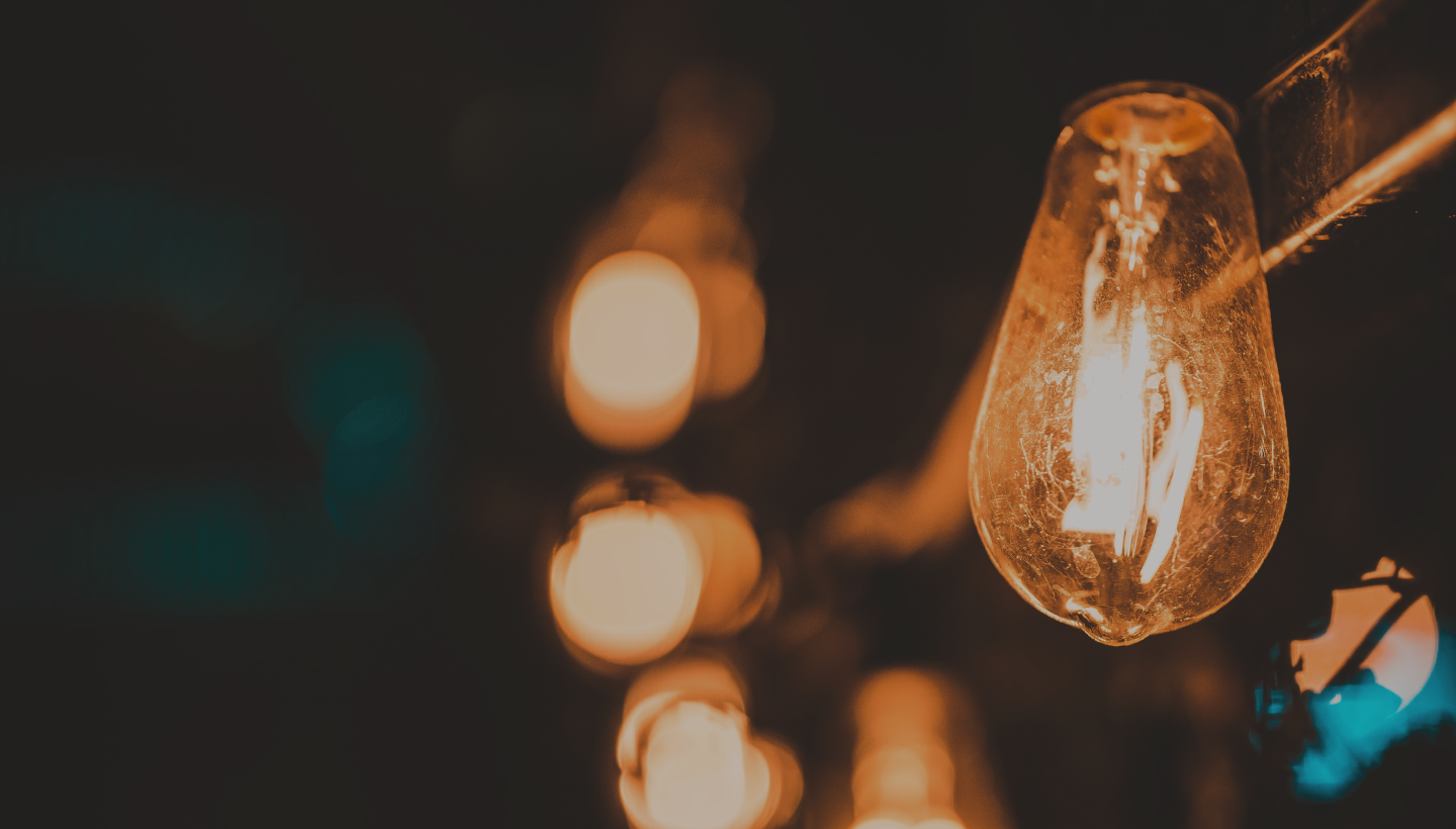 Experten Artikel & Investor Stories