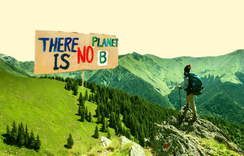 ecological investments