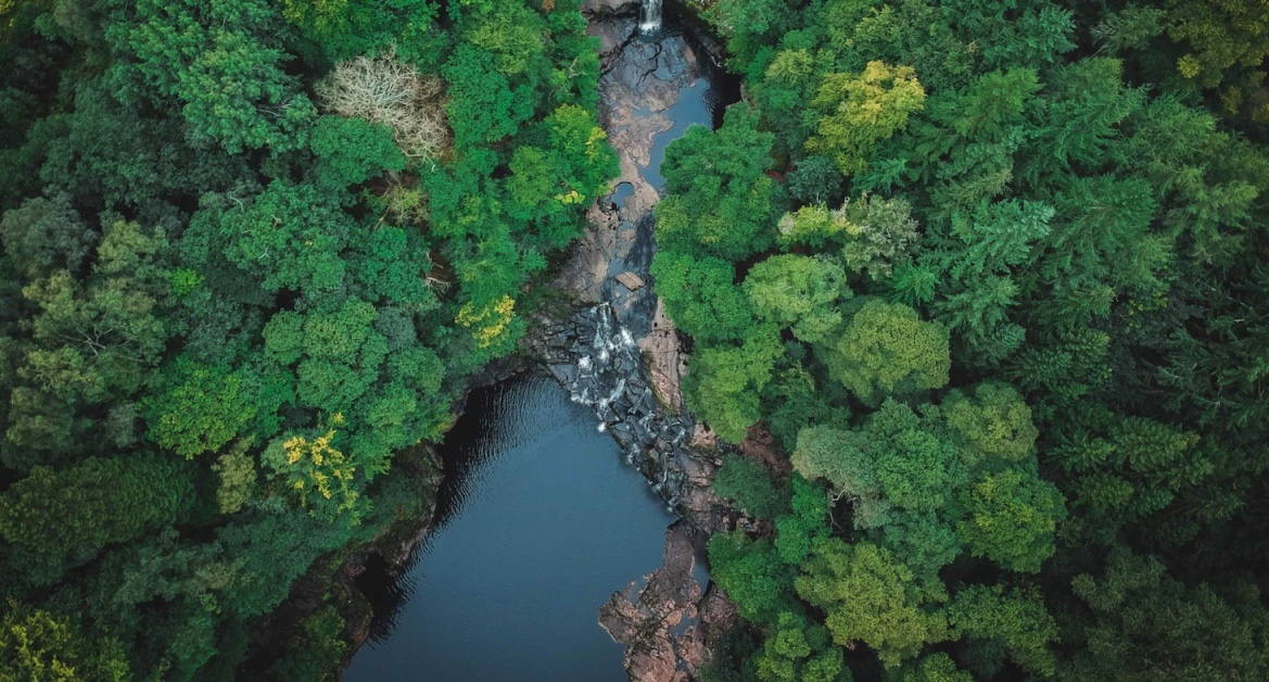 Zeige Deinen Freund*innen unser aufregendes Empfehlungsprogramm!