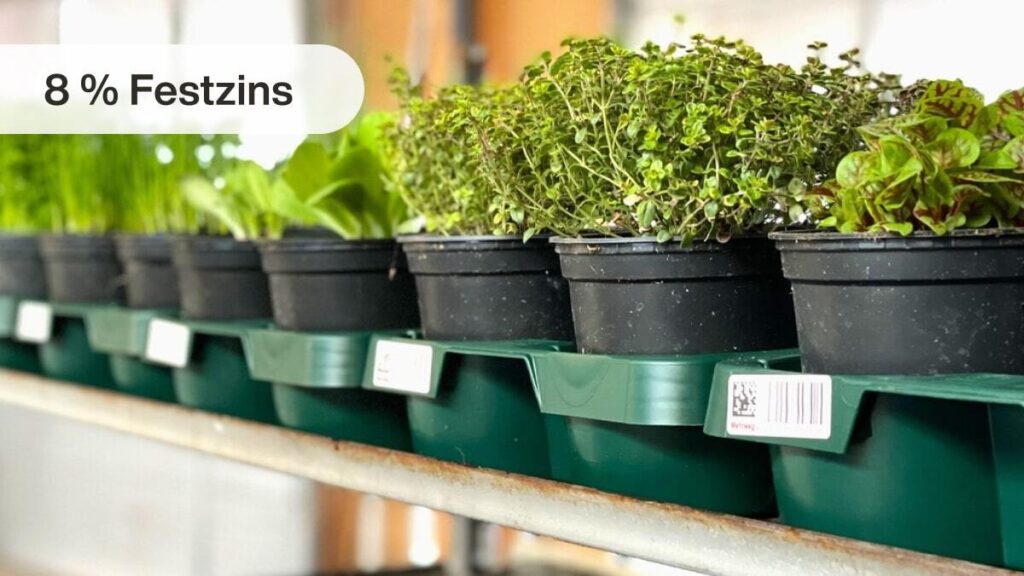 Inyova Grow: Euro Plant Tray